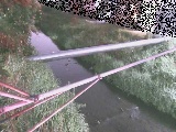 ��C���t�߂̉摜