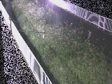 �����t�߂̉摜