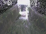 ��Ë��t�߂̉摜