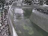 ���R���t�߂̉摜