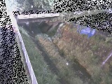 �����t�߂̉摜