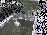 ����݋��t�߂̉摜