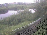 ����勴�t�߂̉摜