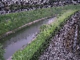 �������t�߂̉摜