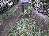 ��Ë��t�߂̉摜