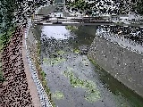 ���R���t�߂̉摜