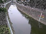 ��y�I�V���t�߂̉摜