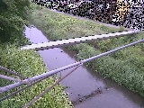 ��C���t�߂̉摜