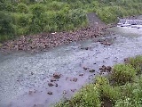 �{���t�߂̉摜