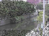 �΍苴�t�߂̉摜