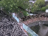 ���c�l�����t�߂̉摜