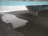 �g�c���t�߂̉摜