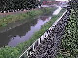 �V�ߗ䋴�t�߂̉摜