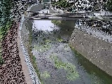 ���R���t�߂̉摜