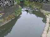 �{�苴�t�߂̉摜