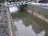 ���g���t�߂̉摜