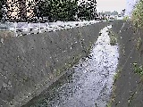 �V�O�֋��t�߂̉摜