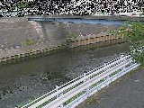 �鏠���t�߂̉摜