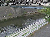 �鏠���t�߂̉摜