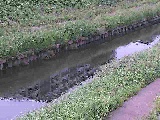 �������t�߂̉摜
