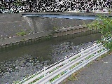 �鏠���t�߂̉摜