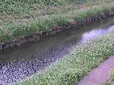 �������t�߂̉摜