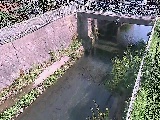�g�싴�t�߂̉摜