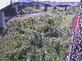 ��E���t�߂̉摜