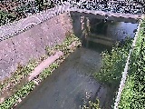 �g�싴�t�߂̉摜