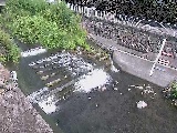 �V�苴�t�߂̉摜