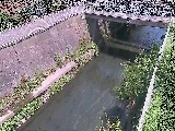 �g�싴�t�߂̉摜