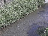 �x�����t�߂̉摜