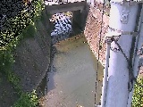 �勴�t�߂̉摜