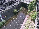 ���C���t�߂̉摜