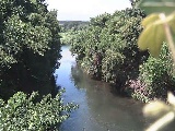 �C�V�������H�t�߂̉摜