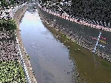 ��y�I�V���t�߂̉摜