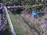 �����t�߂̉摜