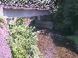 ���싴�t�߂̉摜