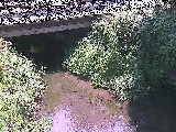 �V�������t�߂̉摜