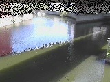 ���c�����t�߂̉摜
