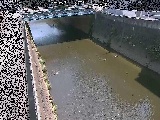 ���g���t�߂̉摜