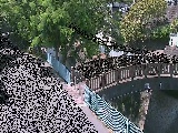 ���c�l�����t�߂̉摜