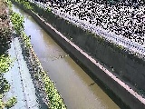 �������t�߂̉摜