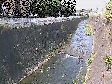 �V�O�֋��t�߂̉摜