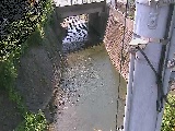�勴�t�߂̉摜