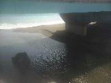 �g�c���t�߂̉摜