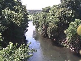 �C�V�������H�t�߂̉摜