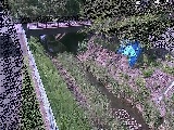 �����t�߂̉摜