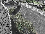 �����������t�߂̉摜