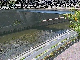 �鏠���t�߂̉摜